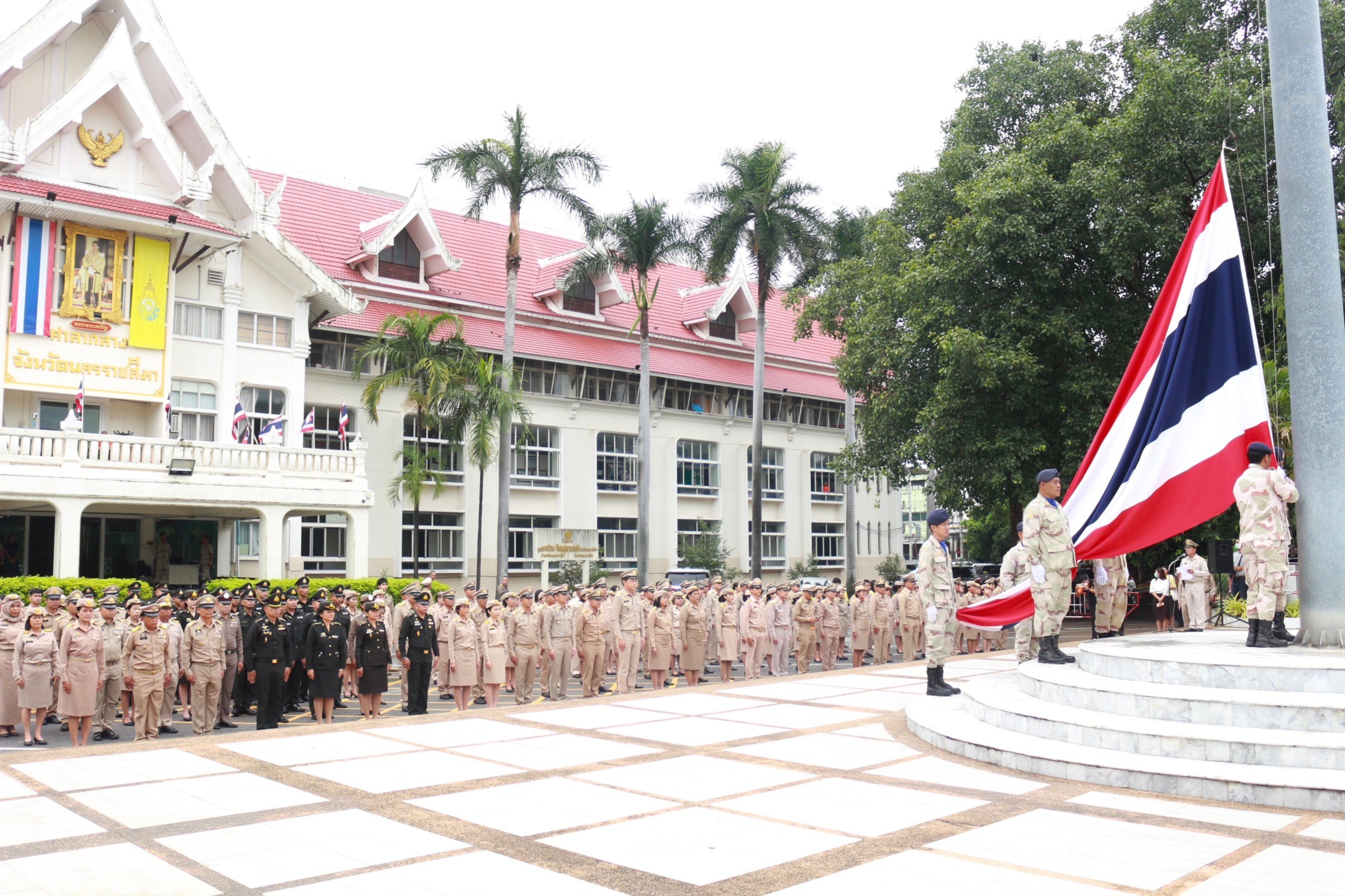 Mol-Thailand